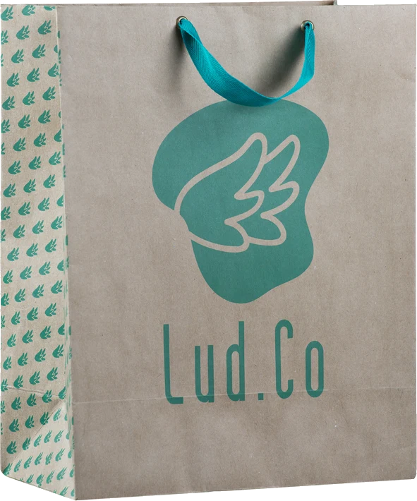 Sacola personalizada Lud.Co